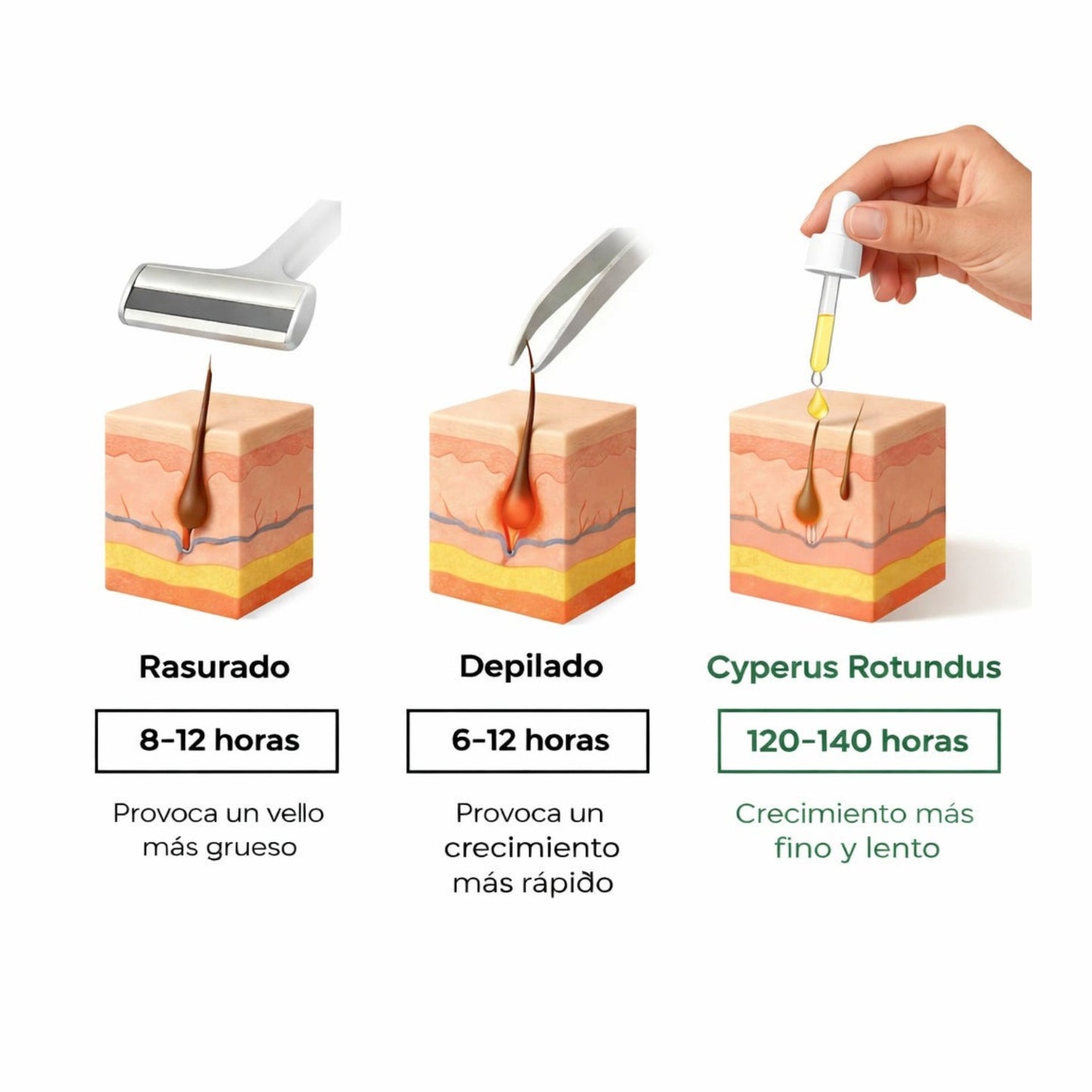 ACEITE CAPILAR CARAMELIA BEAUTY –CYPERUS