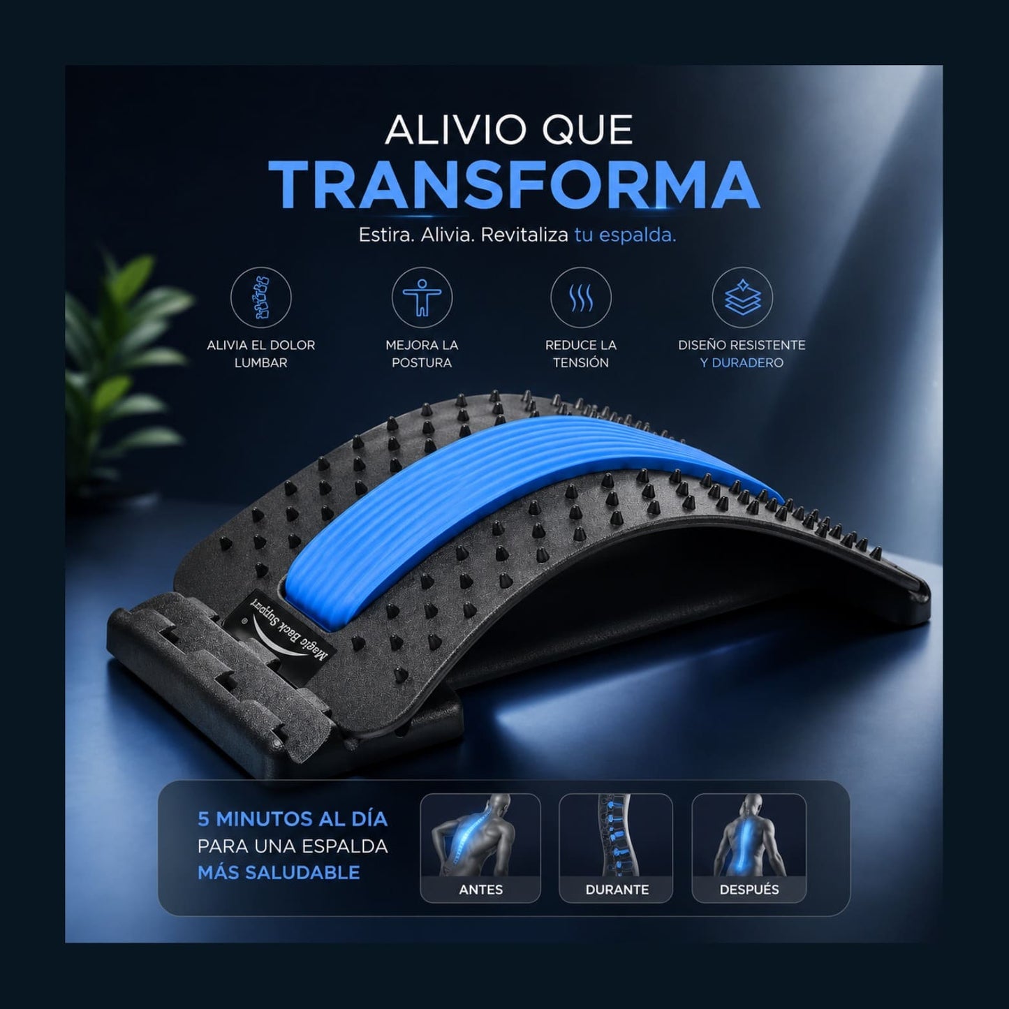 Estiramiento De Espalda Y Soporte Lumbar
